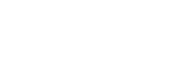 Starline the perfect pool Starline logo